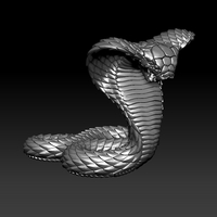 Cobra - Thumbnail 3