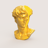 DAVID SKULL - Thumbnail 2