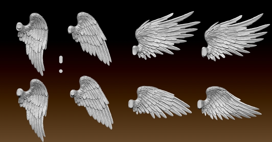 Feathered Wings Pack - Eagle - Hawk 3D Print 509419