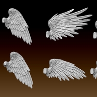 Feathered Wings Pack - Eagle - Hawk - Thumbnail 1