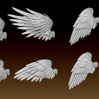 Feathered Wings Pack - Eagle - Hawk - Thumbnail 2