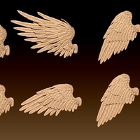 Feathered Wings Pack - Eagle - Hawk - Thumbnail 3