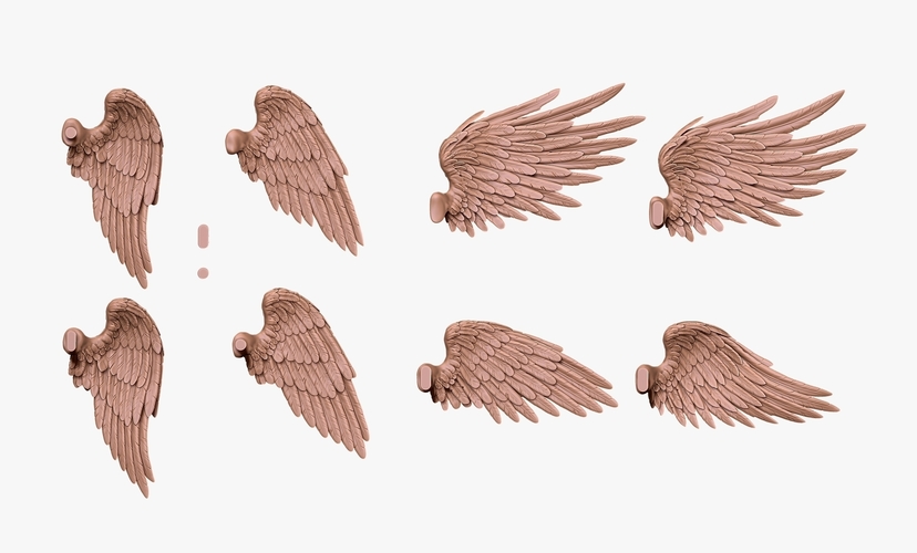 Feathered Wings Pack - Eagle - Hawk 3D Print 509423