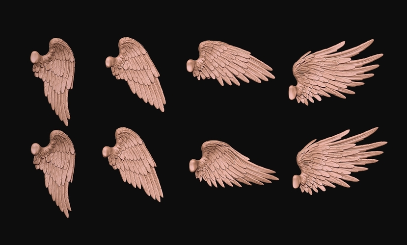 Feathered Wings Pack - Eagle - Hawk 3D Print 509425