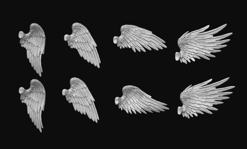 Feathered Wings Pack - Eagle - Hawk 3D Print 509426