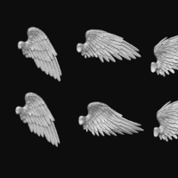 Small Feathered Wings Pack - Eagle - Hawk 3D Printing 509426