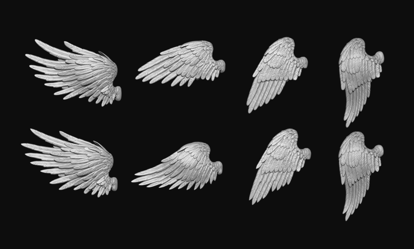 Feathered Wings Pack - Eagle - Hawk 3D Print 509427