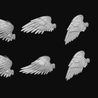 Feathered Wings Pack - Eagle - Hawk - Thumbnail 9