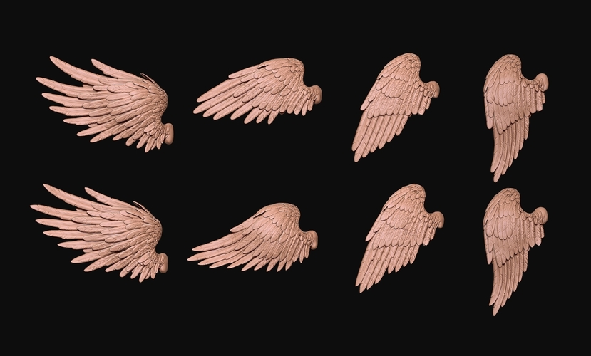 Feathered Wings Pack - Eagle - Hawk 3D Print 509428