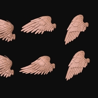 Feathered Wings Pack - Eagle - Hawk - Thumbnail 10