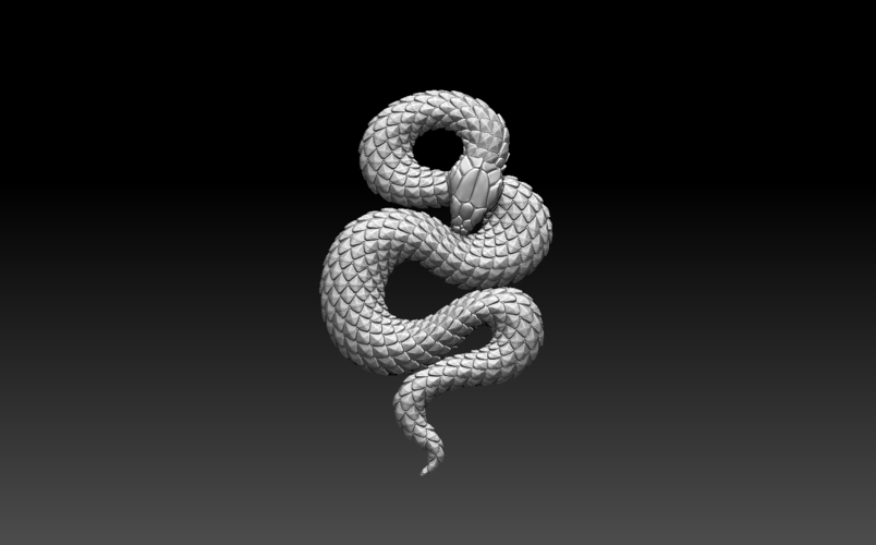 snake 3D Print 509429