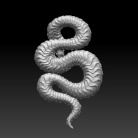 snake - Thumbnail 2