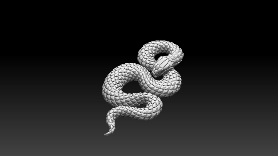 snake 3D Print 509431