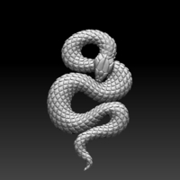 snake - Thumbnail 5