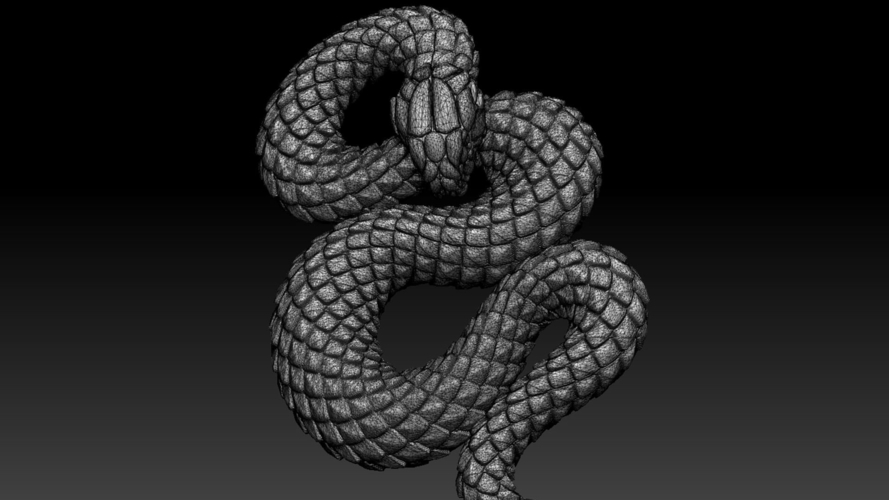 snake 3D Print 509434