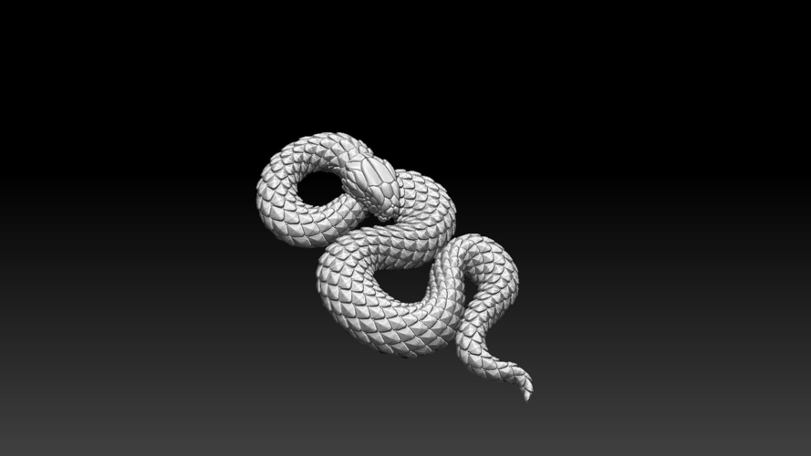 snake 3D Print 509435