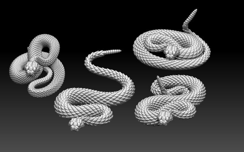 rattlesnake 3D Print 509440