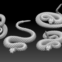 Small rattlesnake 3D Printing 509440
