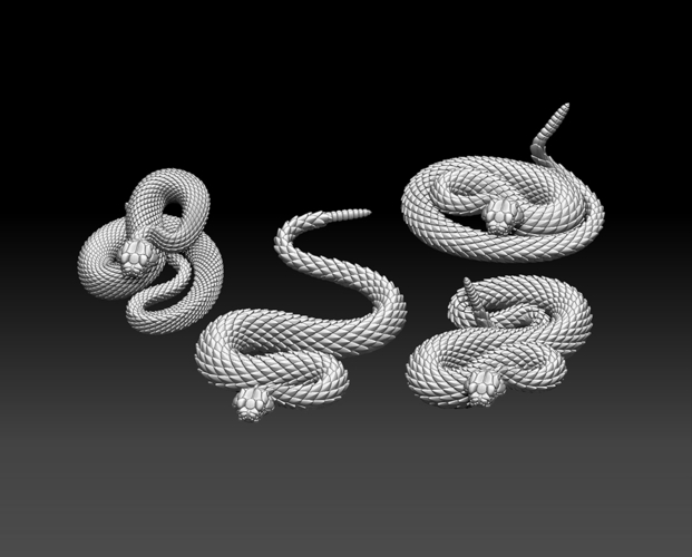 rattlesnake 3D Print 509441