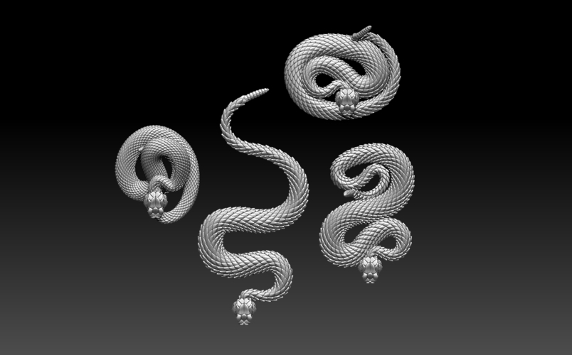 rattlesnake 3D Print 509442