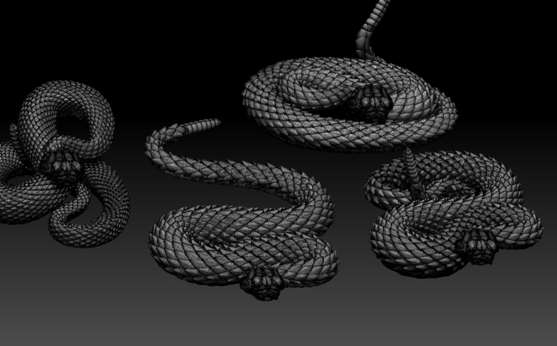 rattlesnake 3D Print 509443