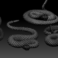rattlesnake - Thumbnail 4
