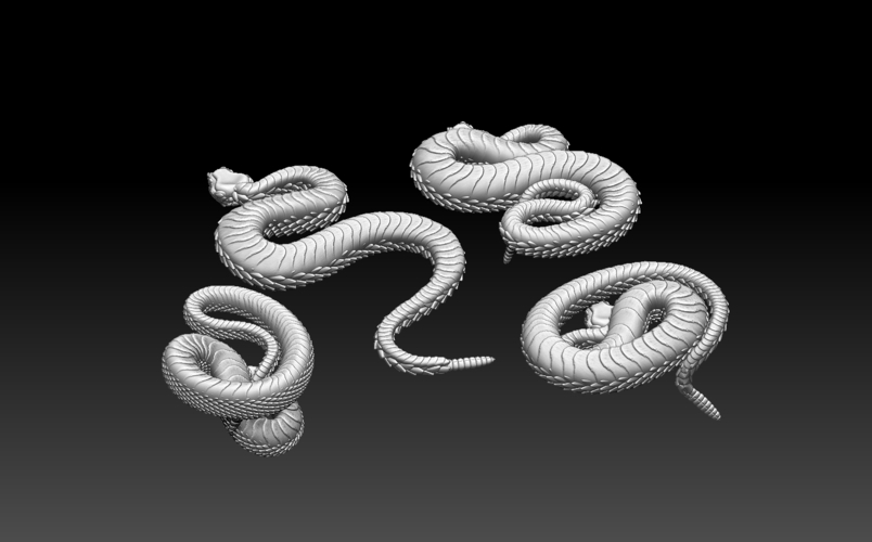 rattlesnake 3D Print 509444