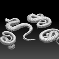 rattlesnake - Thumbnail 5