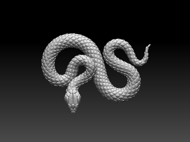 snake 3D Print 509445