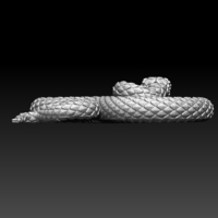 snake - Thumbnail 2