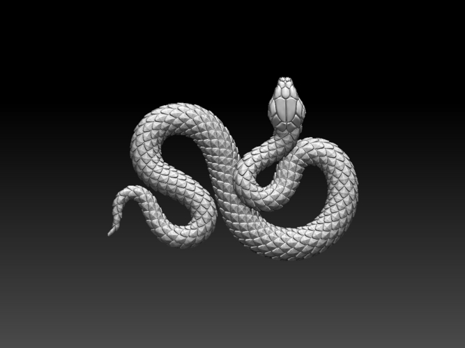 snake 3D Print 509448