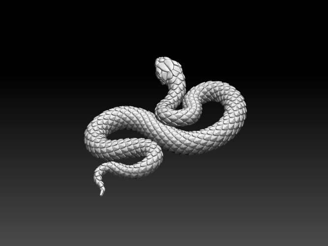 snake 3D Print 509449