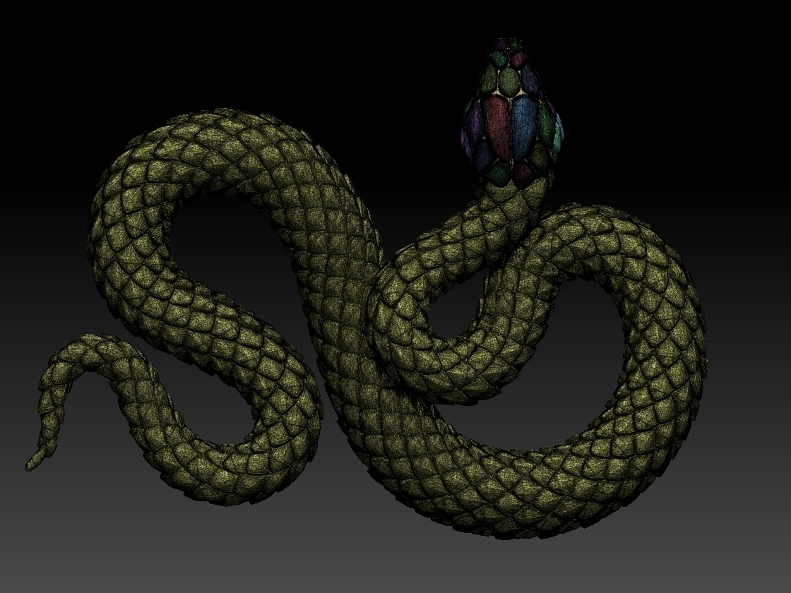 snake - Buy Royalty Free 3D model by explorertit36@gmail.com (@paydi)  [a536b97]