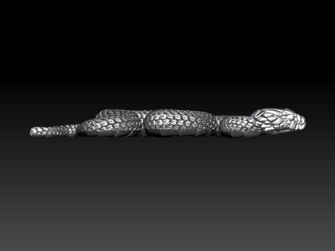 snake 3D Print 509508