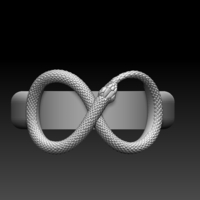 ring snake - Thumbnail 1