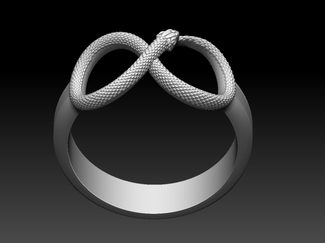 ring snake 3D Print 509514