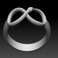 ring snake - Thumbnail 2