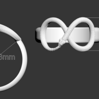 ring snake - Thumbnail 6