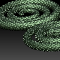 snake - Thumbnail 5