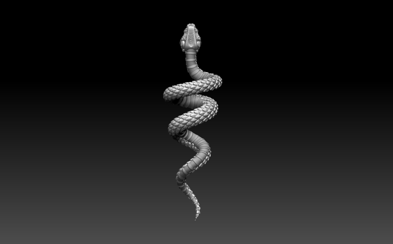 snake 3D Print 509560