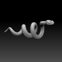 snake - Thumbnail 5