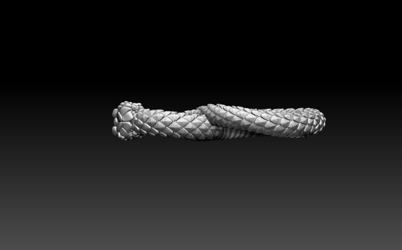 snake 3D Print 509570