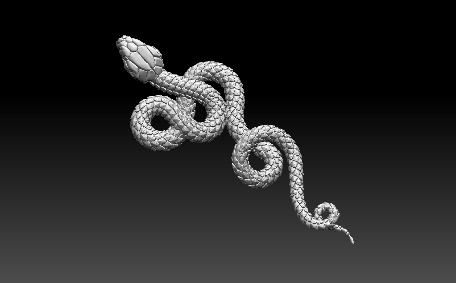 Snake - 3D Print Model by Explorer