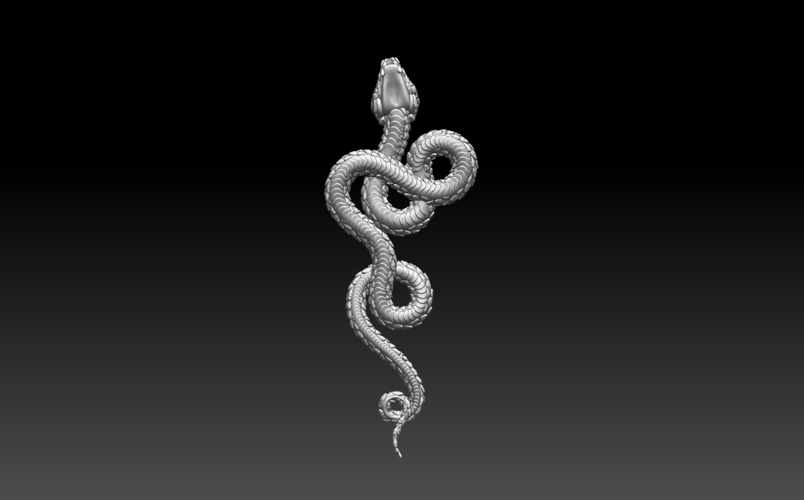 snake 3D Print 509575