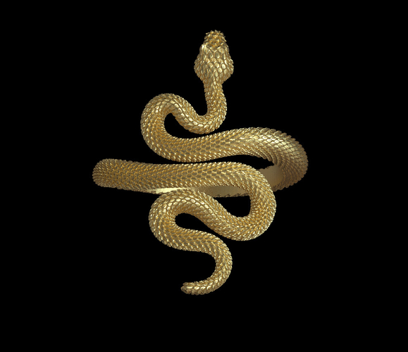 snake ring 3D Print 509584