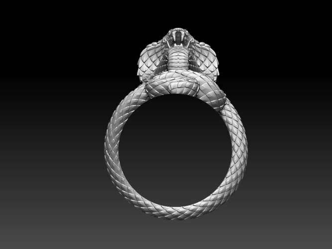 cobra ring 3D Print 509593