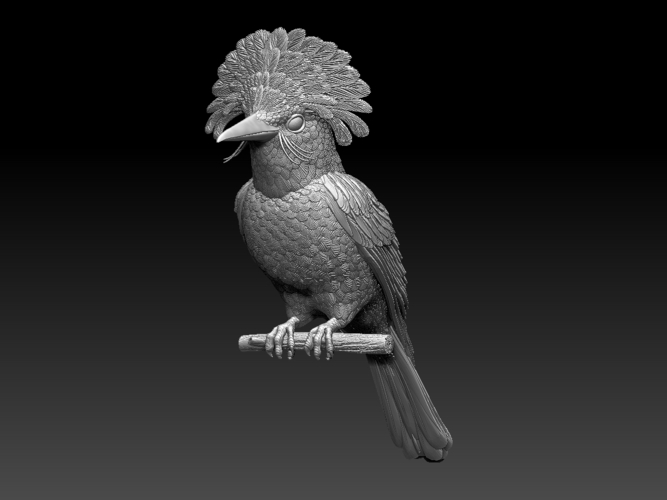 Amazonian royal flycatcher 3D Print 509605