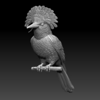 Small Amazonian royal flycatcher 3D Printing 509605