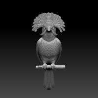 Amazonian royal flycatcher - Thumbnail 9