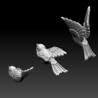 birds - Thumbnail 2